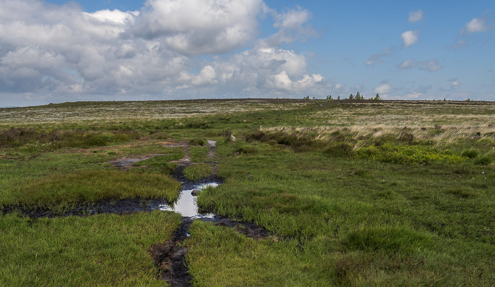 White Edge Moor